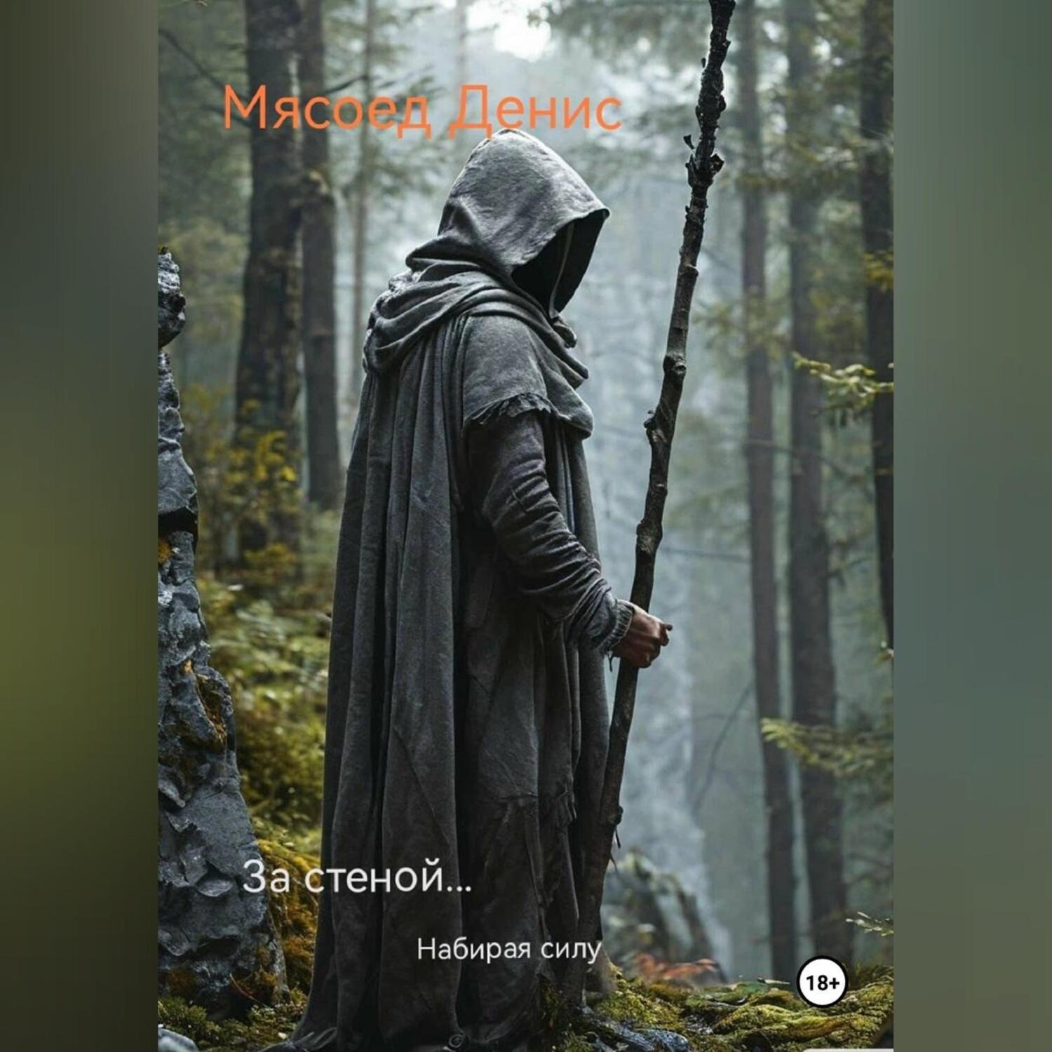 Обложка книги «За стеной… Набирая силу»