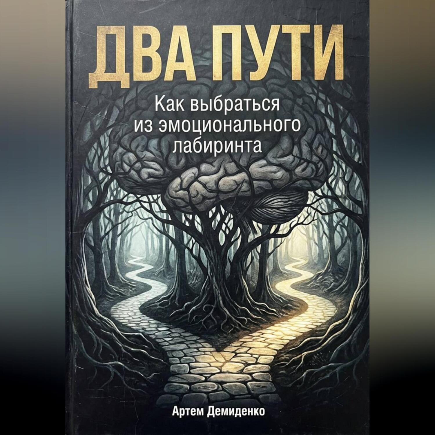 Обложка книги «Два пути: Как выбраться из эмоционального лабиринта»