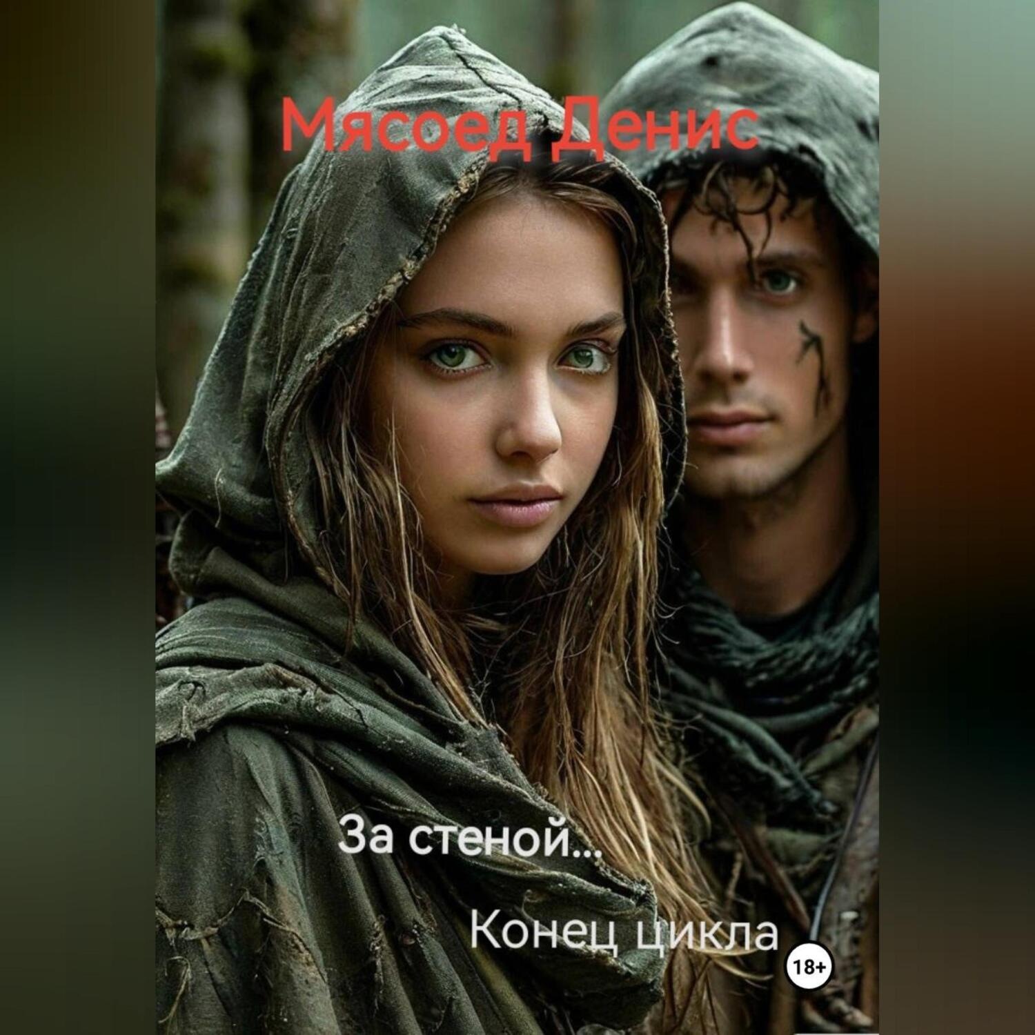 Обложка книги «За стеной… Конец цикла»