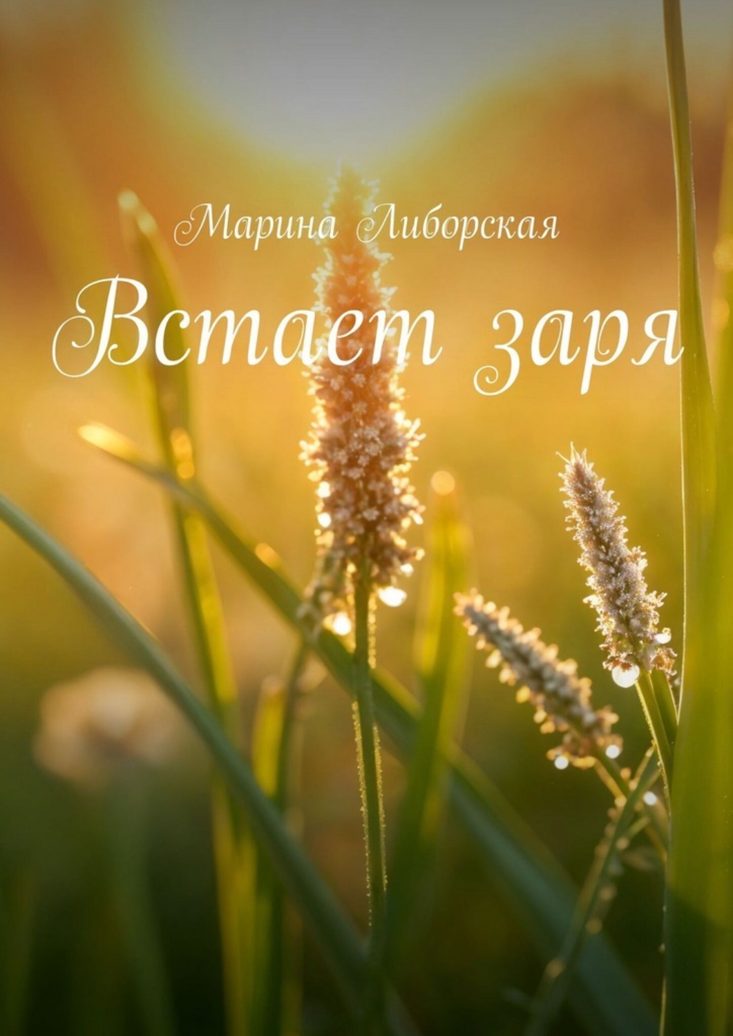 Обложка книги «Встает заря»