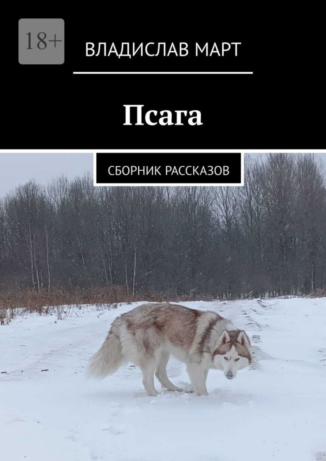 Обложка книги «Псага. Сборник рассказов»