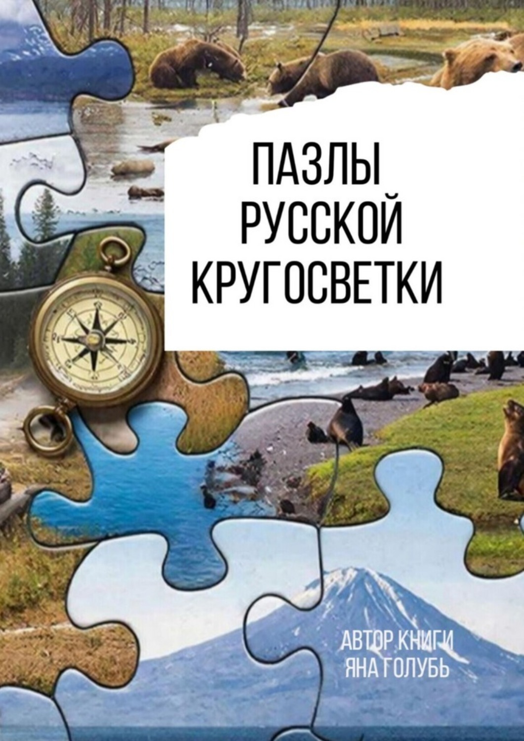 Обложка книги «Пазлы русской кругосветки»