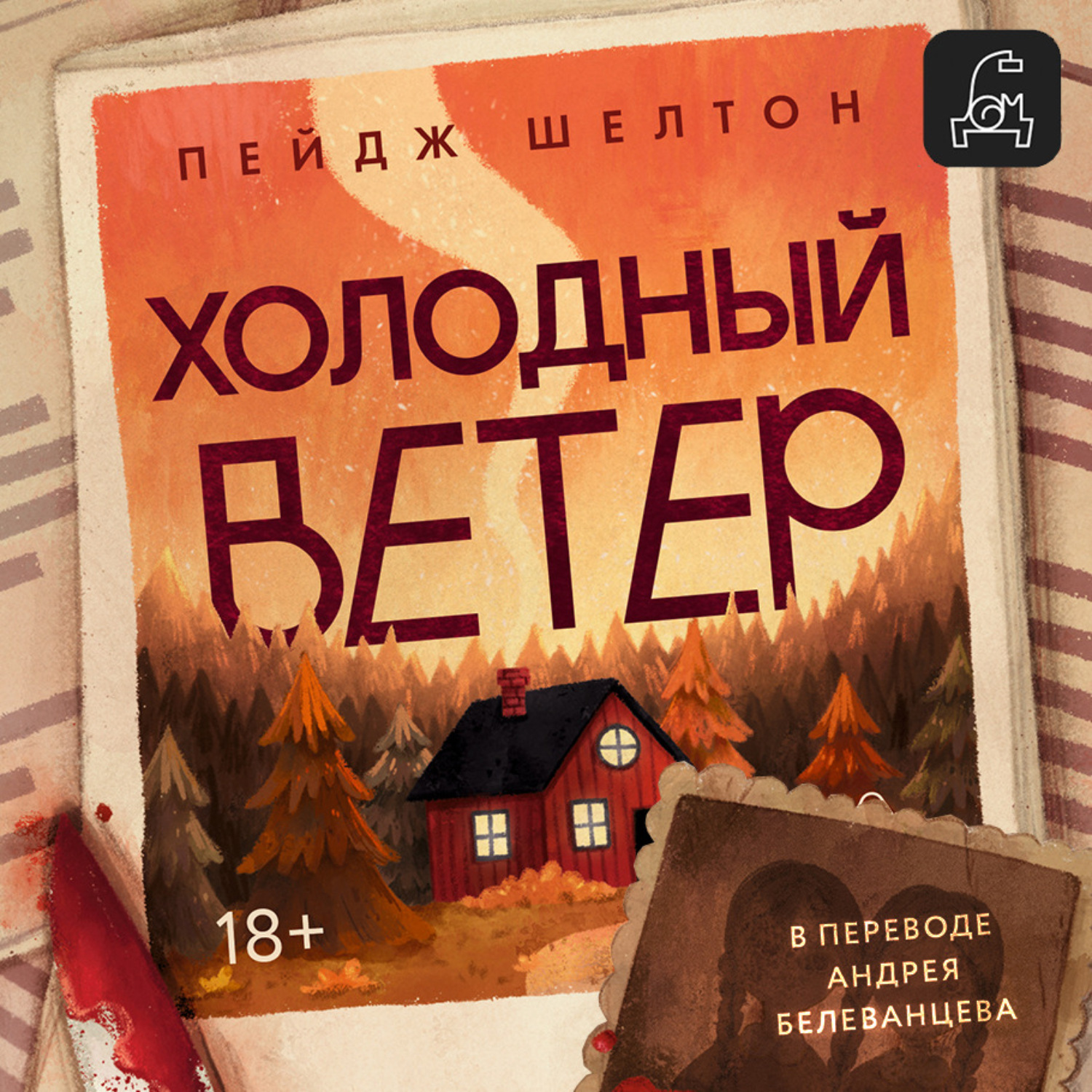 Обложка книги «Холодный ветер»