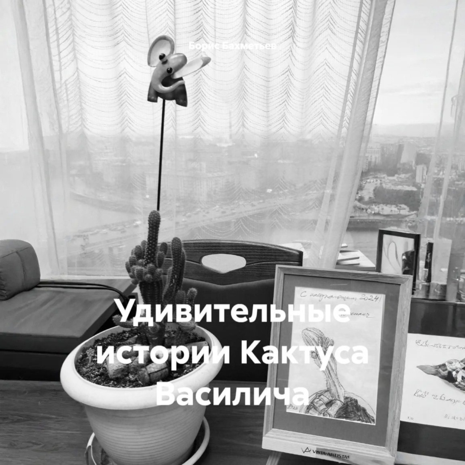 Обложка книги «Удивительные истории Кактуса Василича»