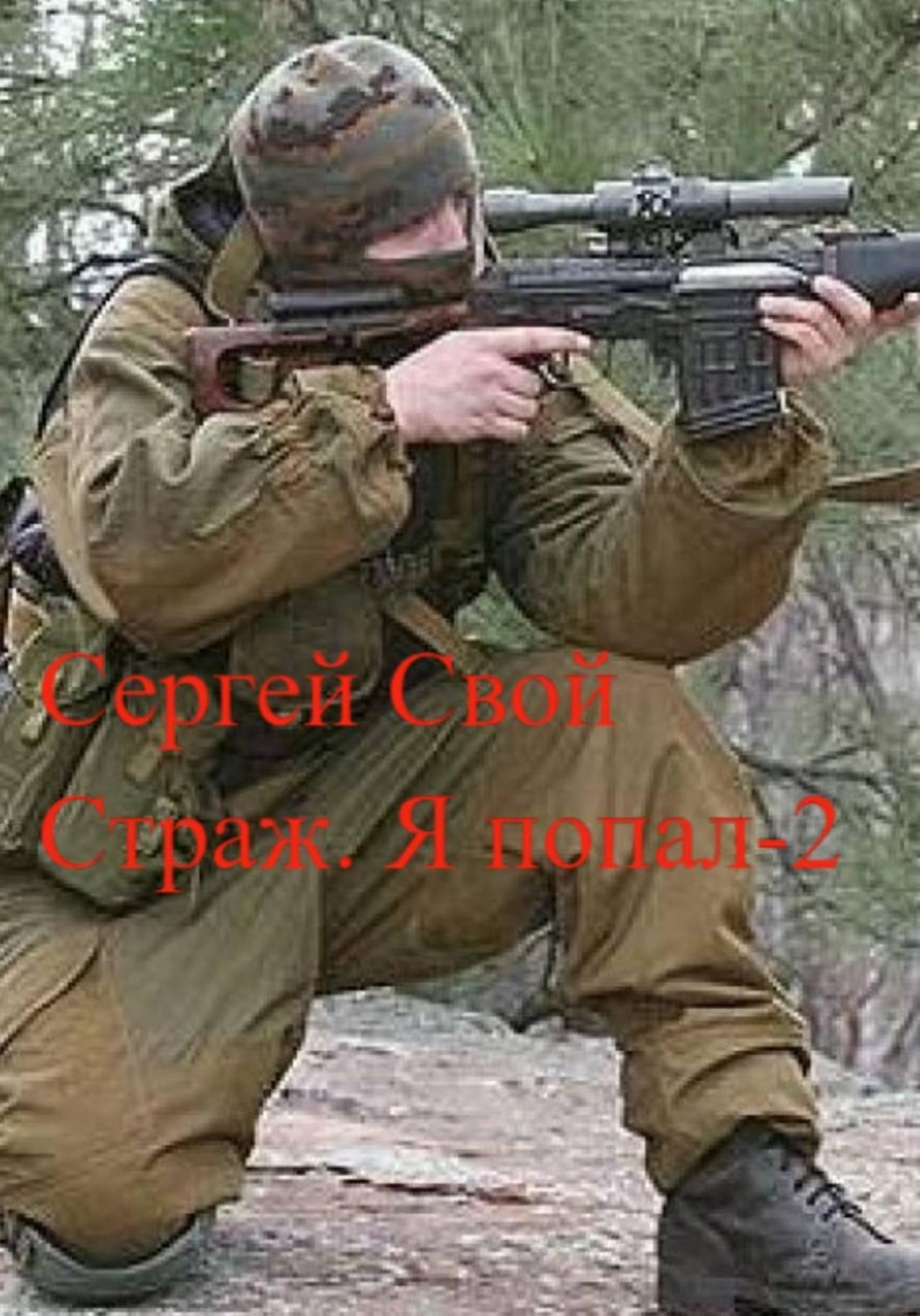 Обложка книги «Страж. Я попал – 2»