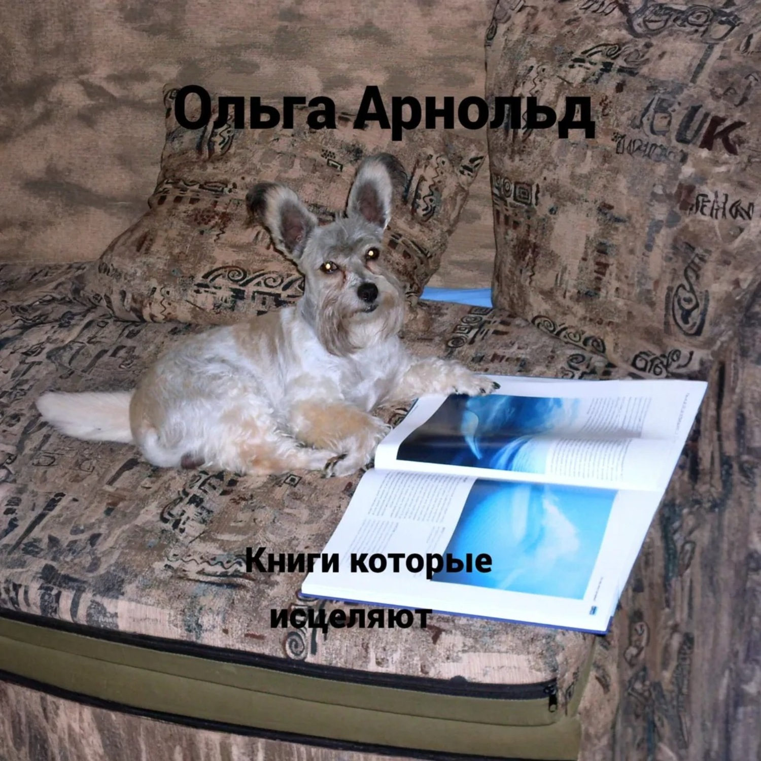 Обложка книги «Книги, которые исцеляют»