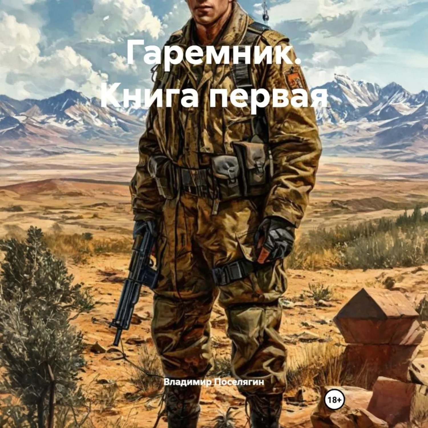 Обложка книги «Гаремник. Книга первая»