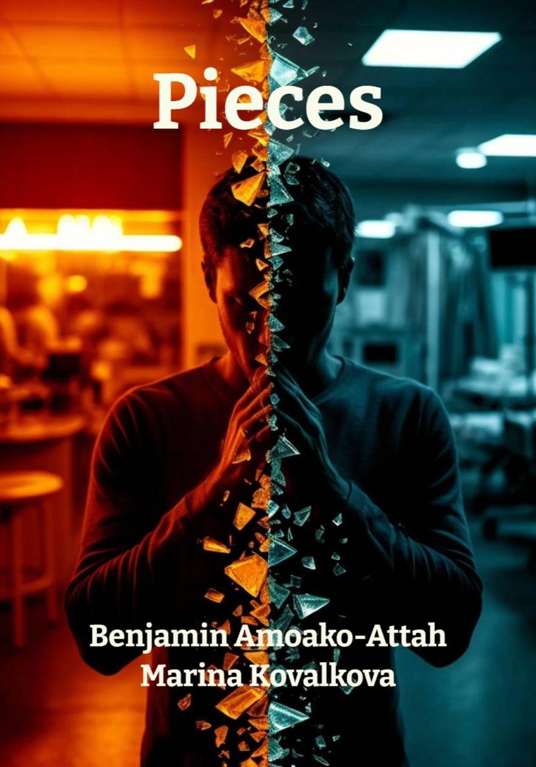 Обложка книги «Pieces»