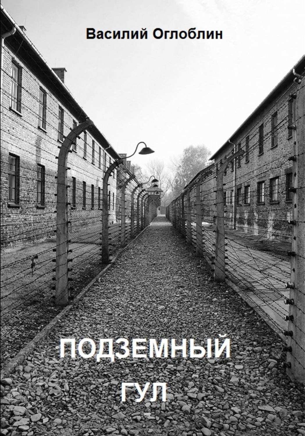 Обложка книги «Подземный гул. Роман в новеллах»