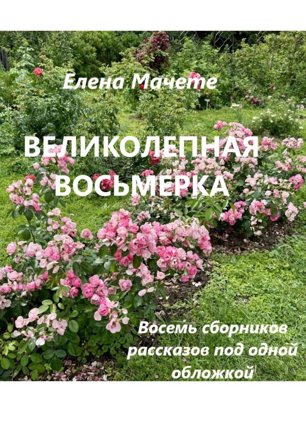 Обложка книги «Великолепная восьмерка»