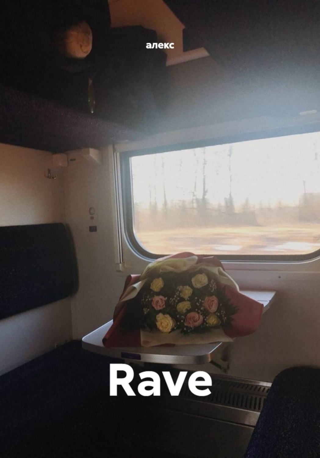 Обложка книги «Rave»