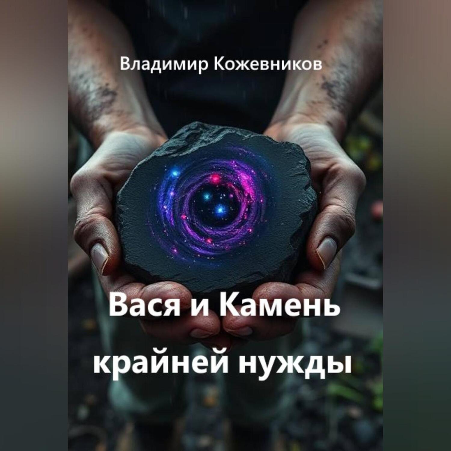 Обложка книги «Вася и Камень крайней нужды»
