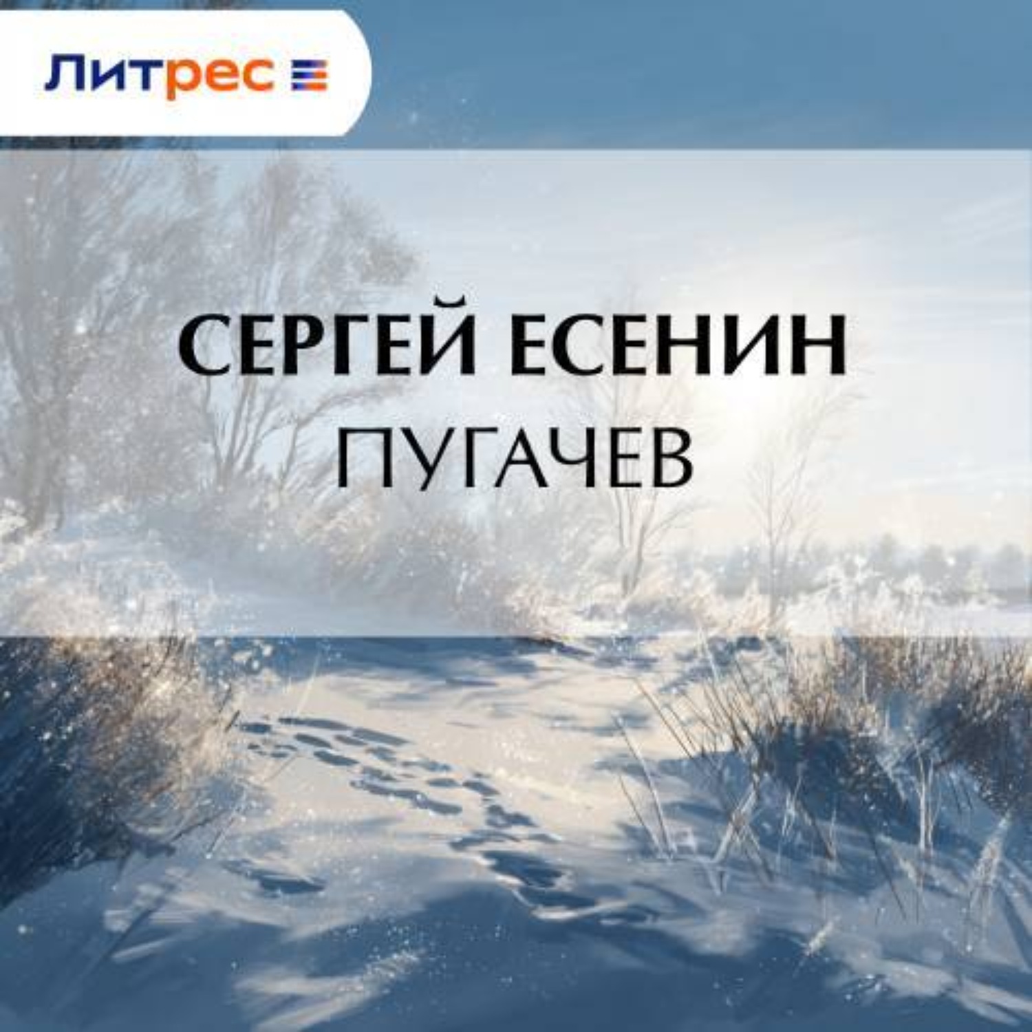 Обложка книги «Пугачев»