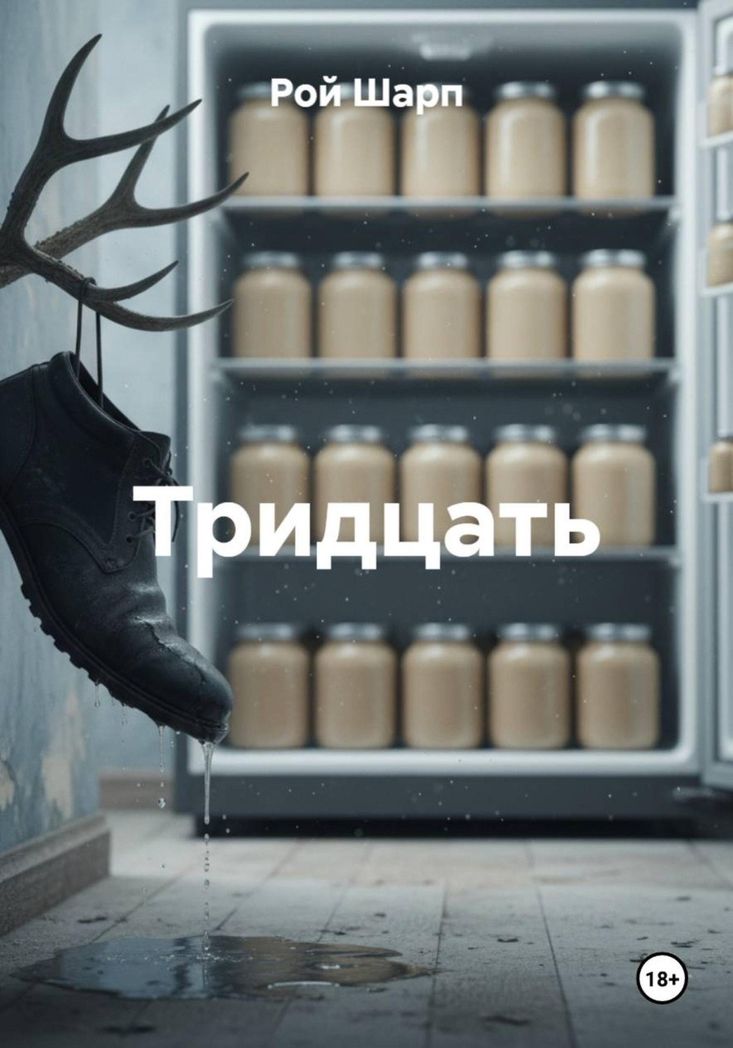 Обложка книги «Тридцать»