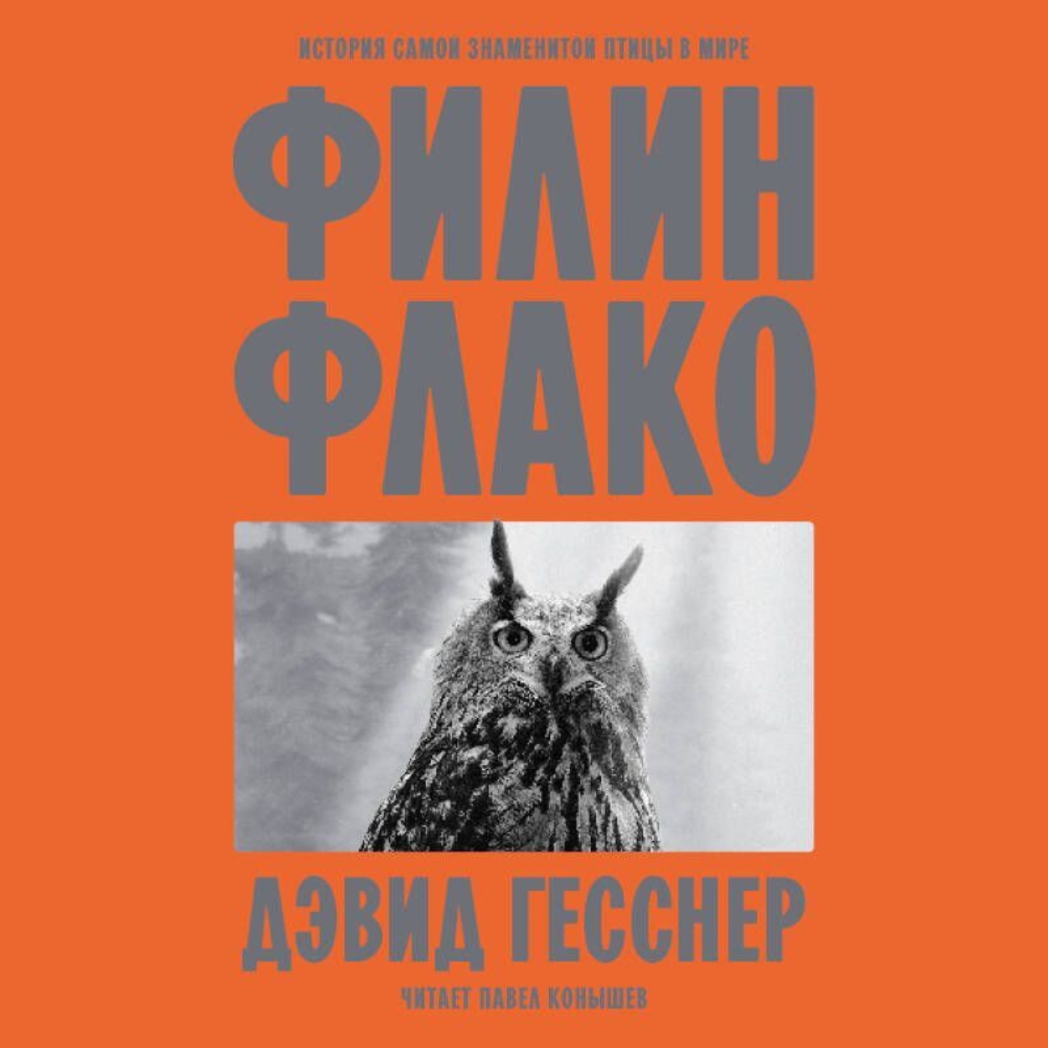 Обложка книги «Филин Флако. История самой знаменитой птицы в мире»