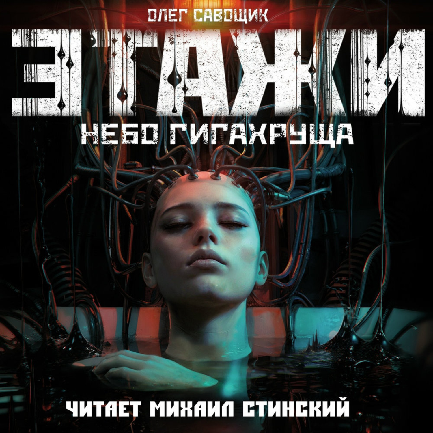 Обложка книги «Этажи. Небо Гигахруща»