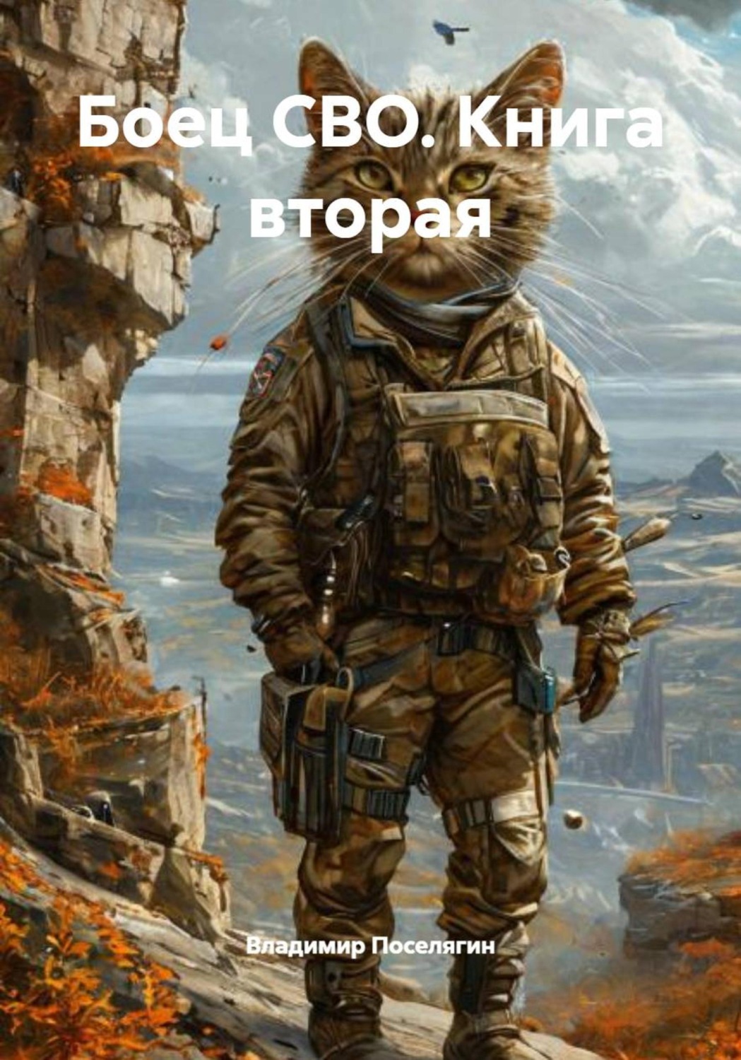 Обложка книги «Боец СВО. Книга вторая»