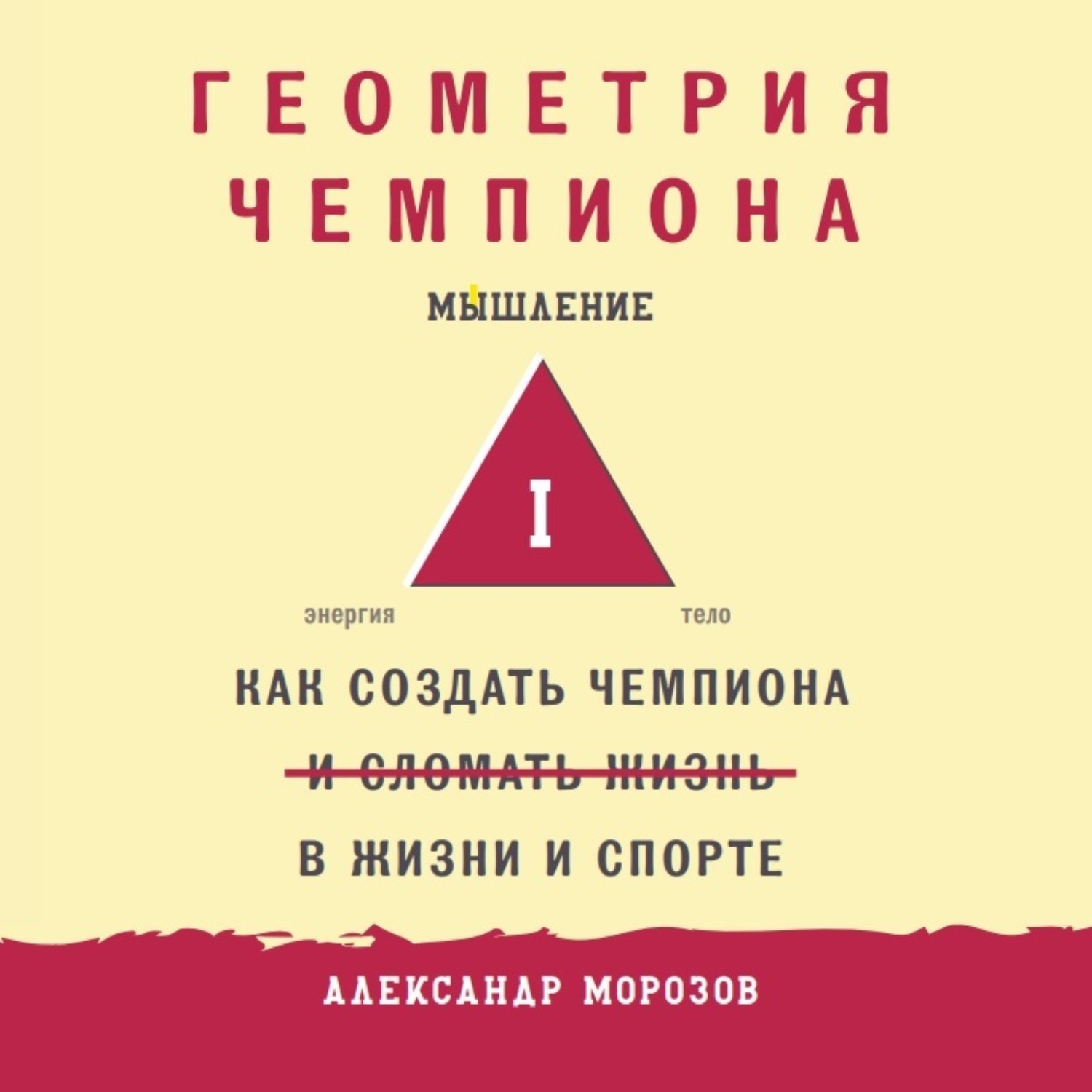 Обложка книги «Геометрия чемпиона. Как создать чемпиона в жизни и спорте»