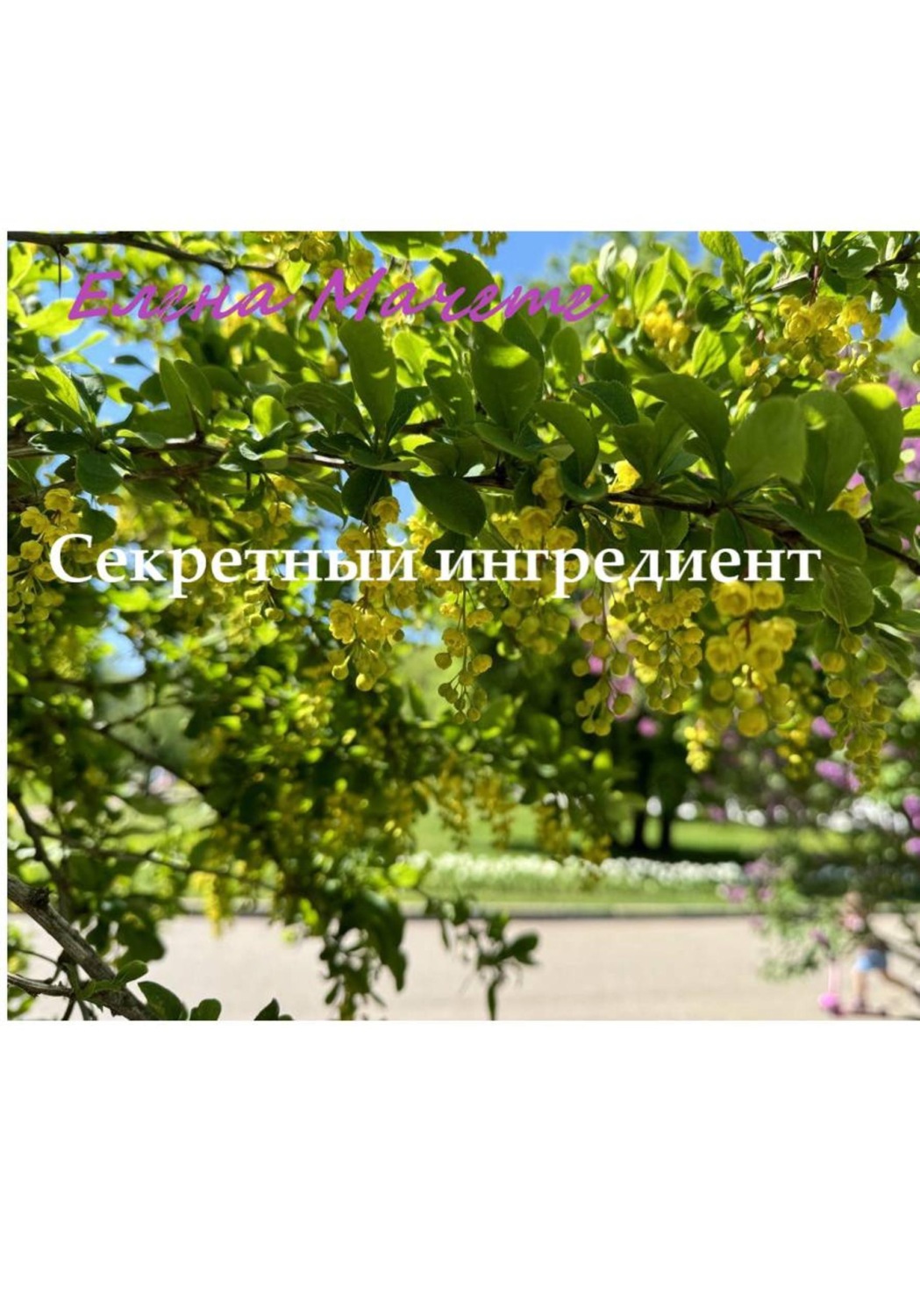 Обложка книги «Секретный ингредиент»
