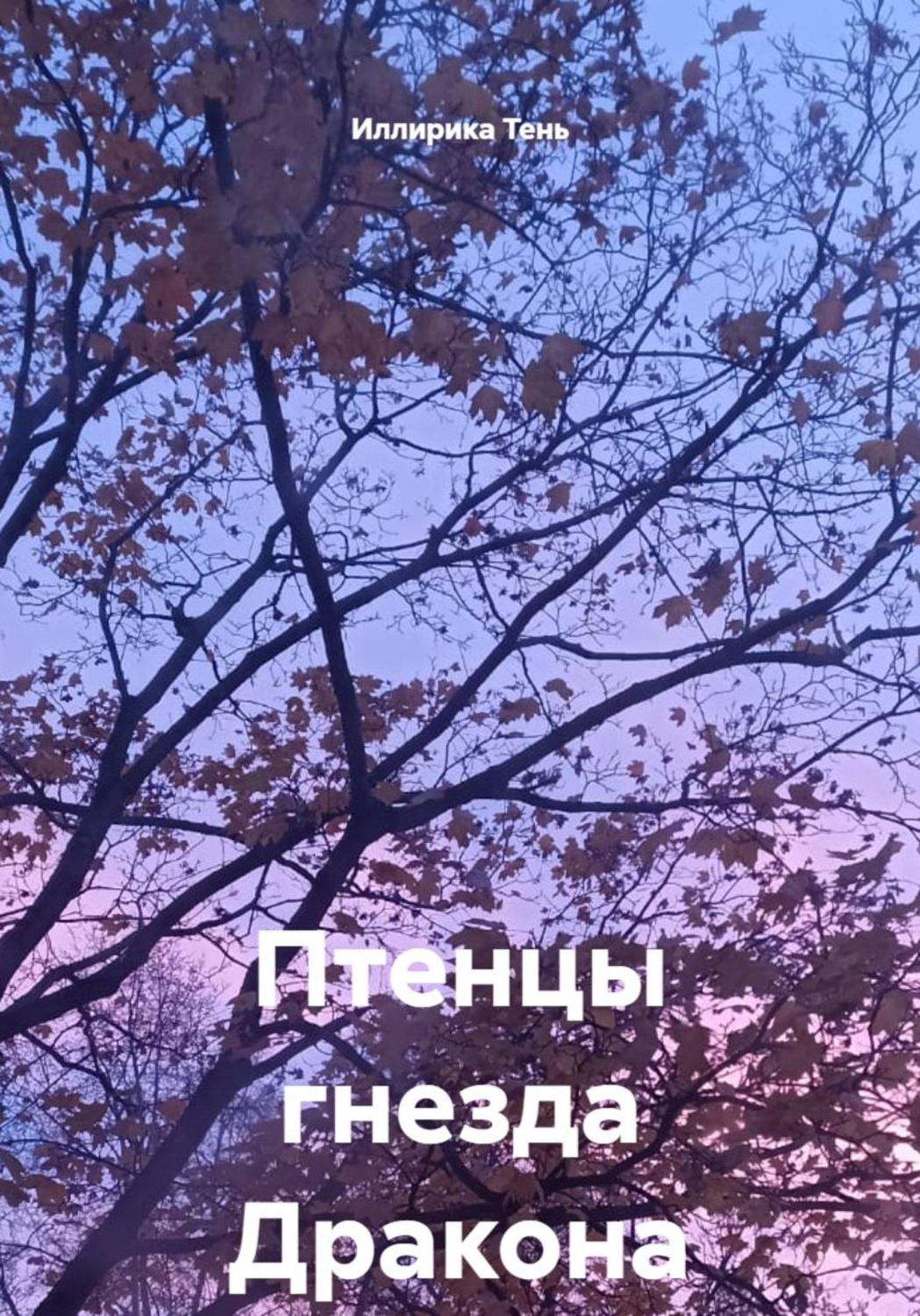 Обложка книги «Птенцы гнезда Дракона»