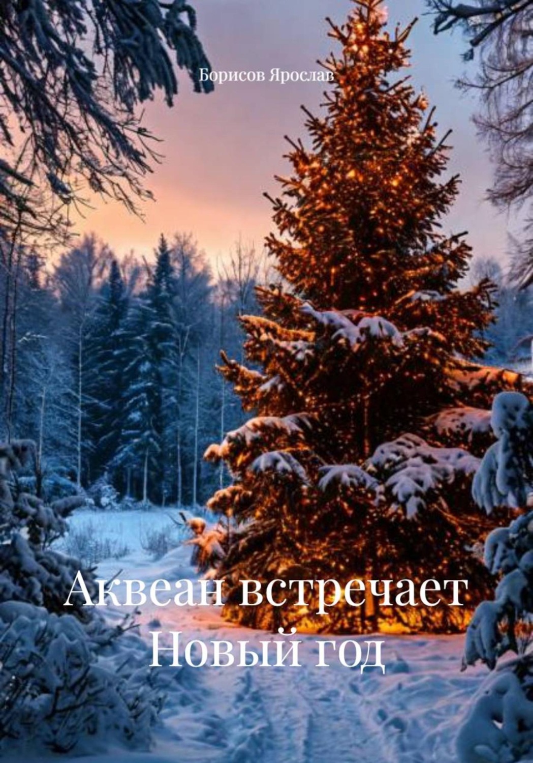 Обложка книги «Аквеан встречает Новый год»