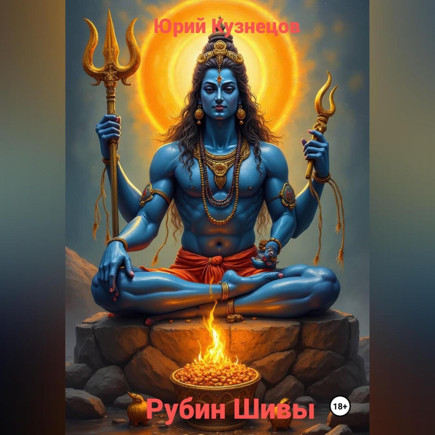 Обложка книги «Рубин Шивы»
