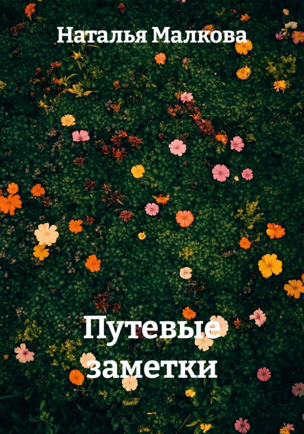 Обложка книги «Путевые заметки»