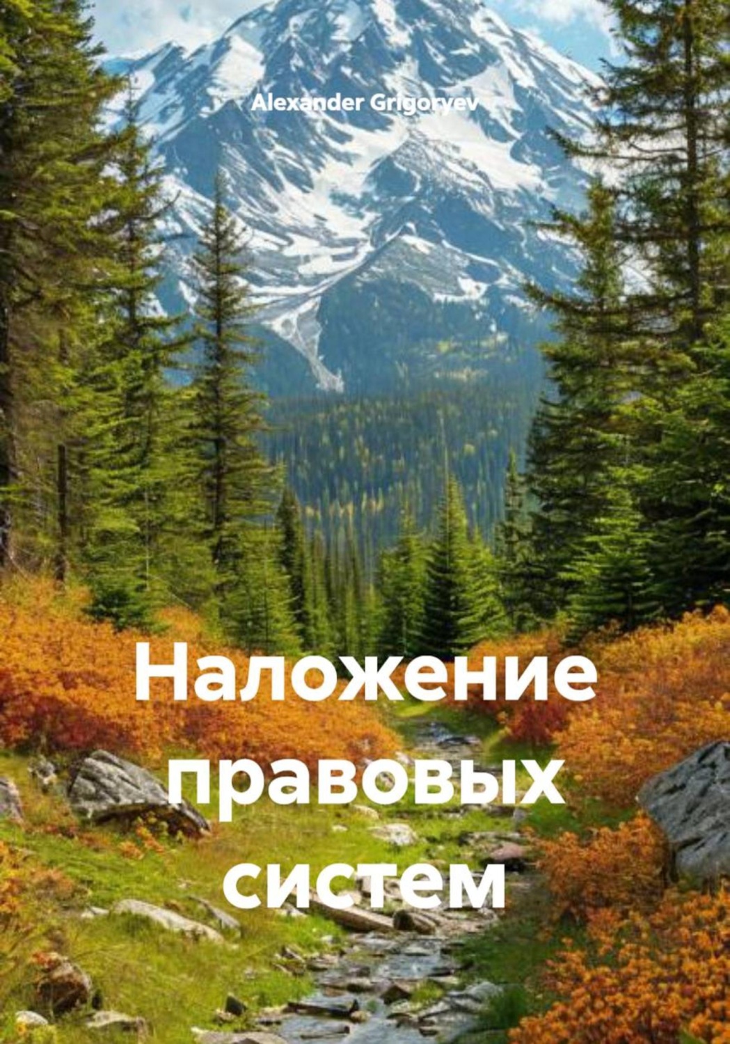 Обложка книги «Наложение правовых систем»