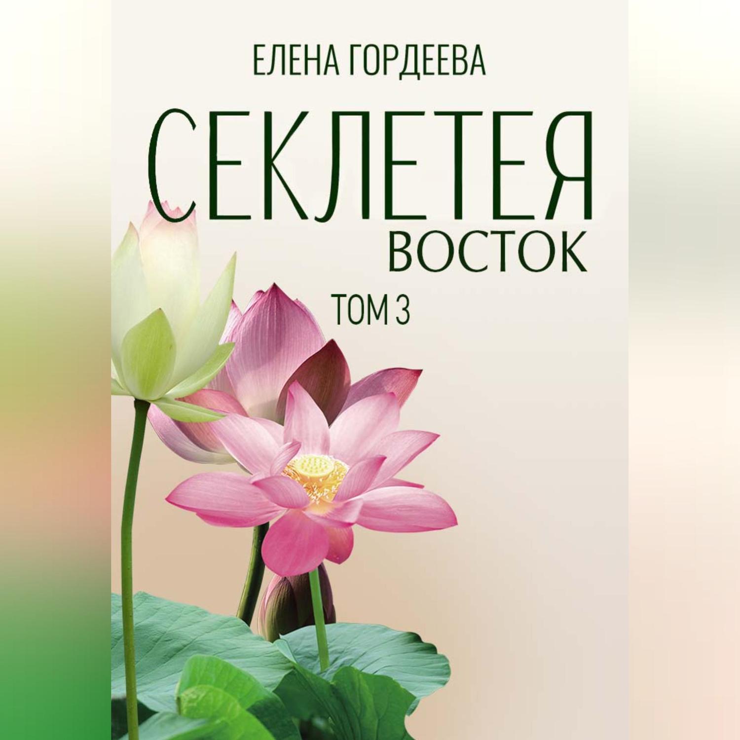 Обложка книги «Секлетея. Восток»