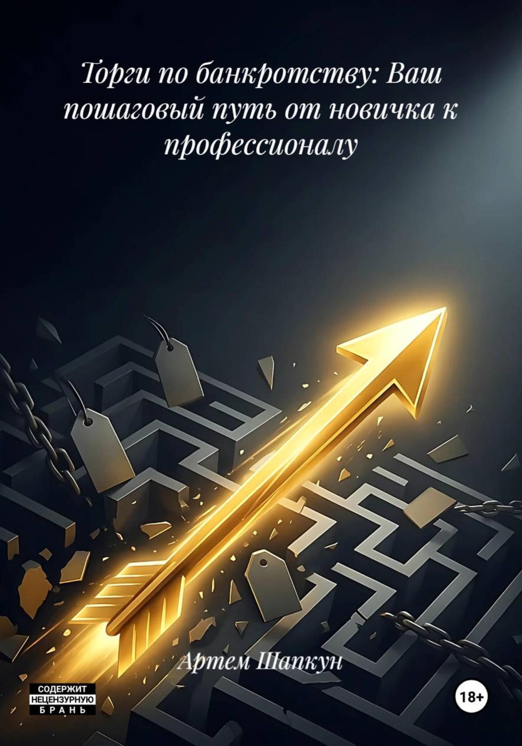 Обложка книги «Торги по банкротству: Ваш пошаговый путь от новичка к профессионалу»