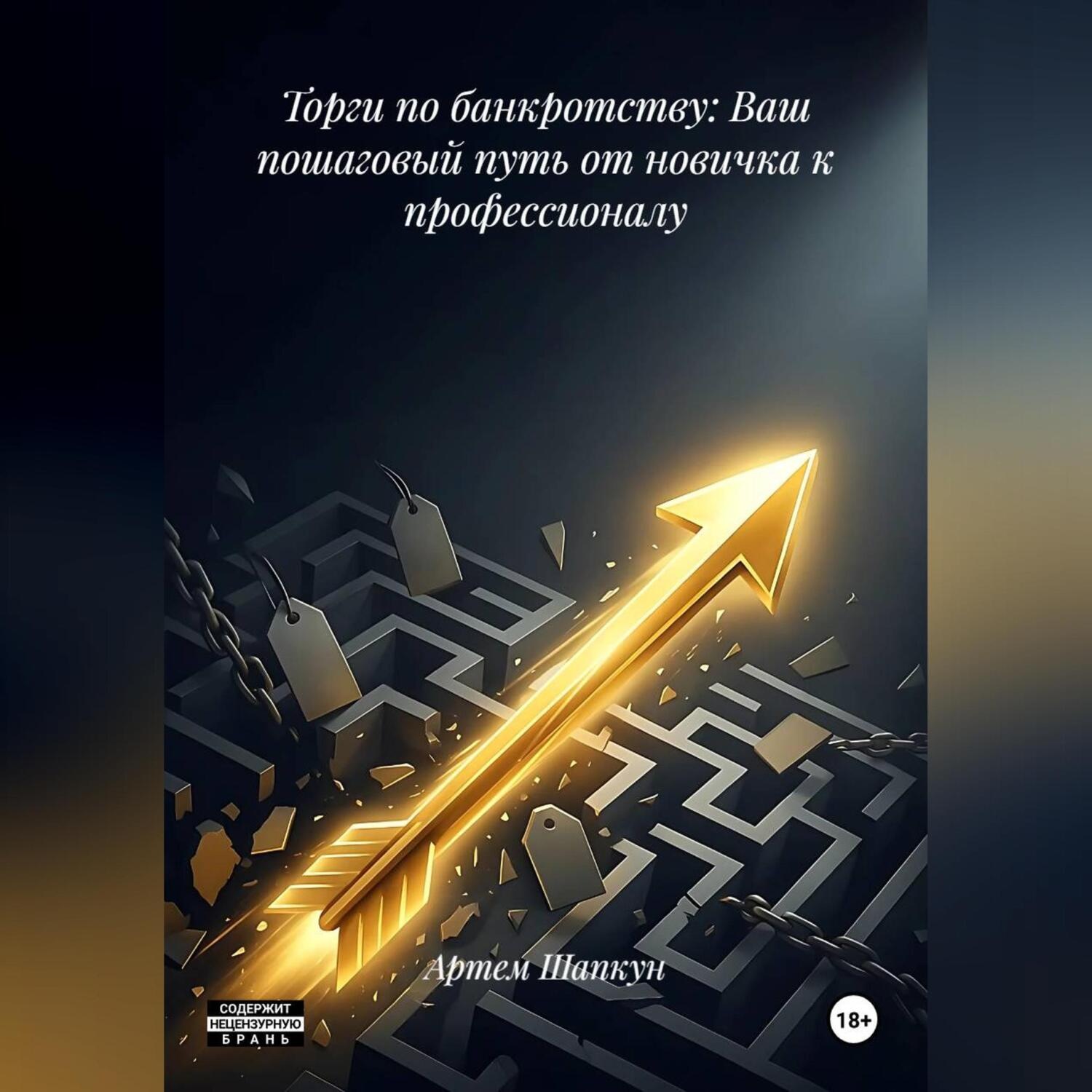 Обложка книги «Торги по банкротству: Ваш пошаговый путь от новичка к профессионалу»