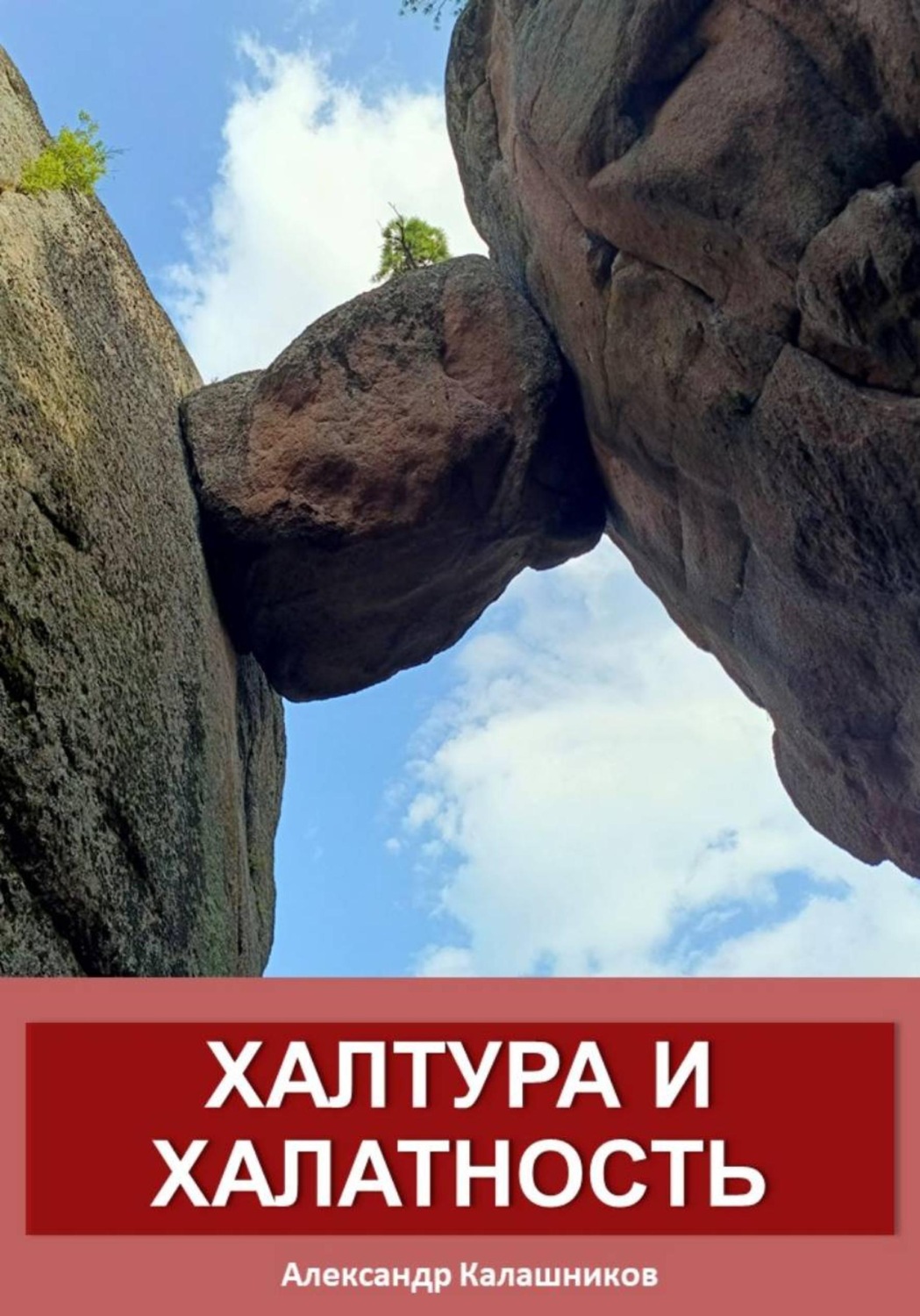 Обложка книги «Халтура и халатность»