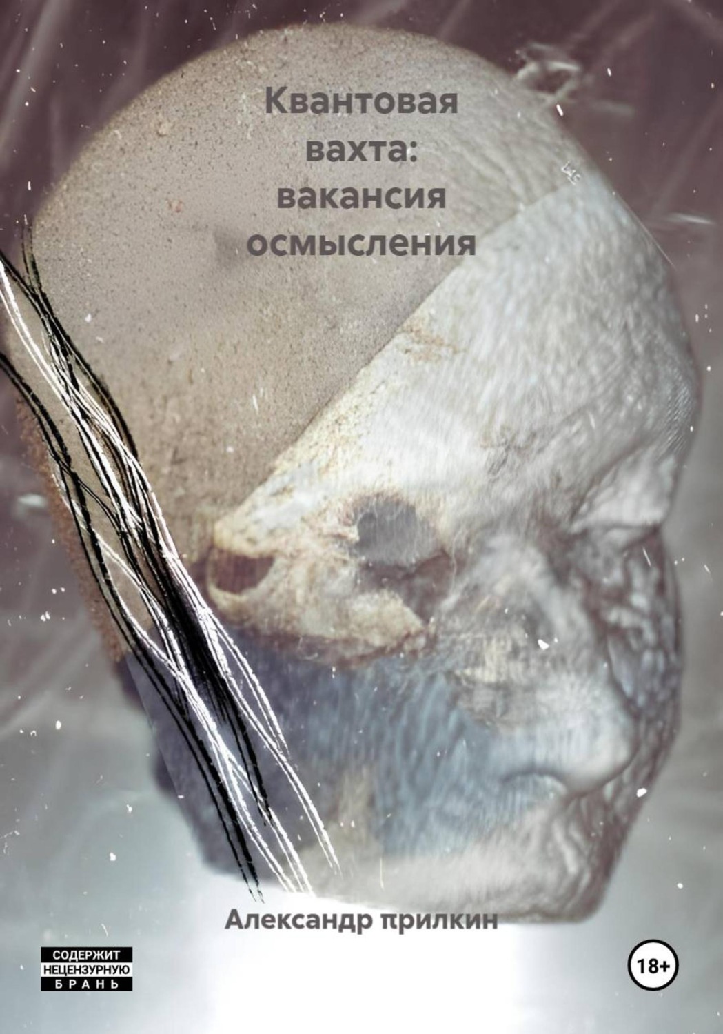 Обложка книги «Квантовая вахта: вакансия осмысления»