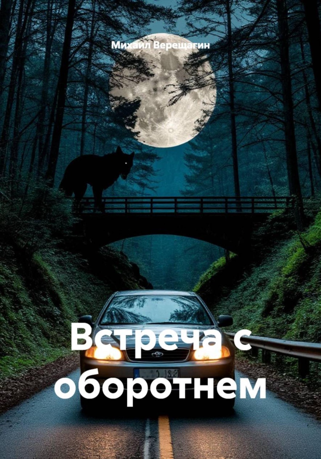 Обложка книги «Встреча с оборотнем»