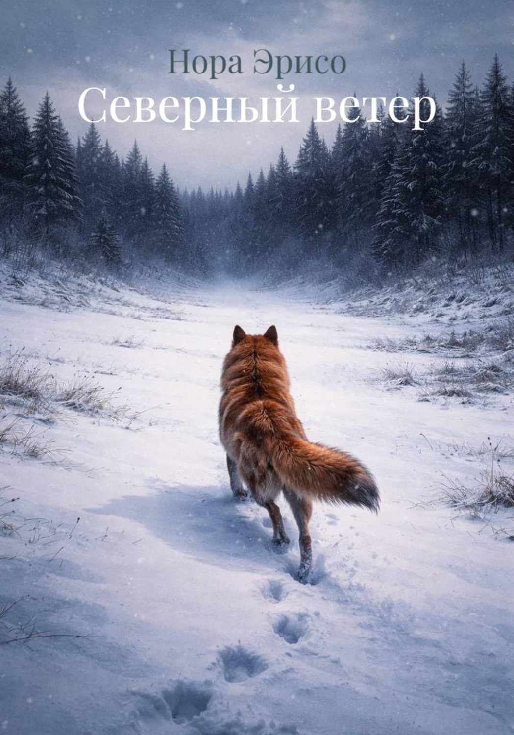 Обложка книги «Северный ветер»