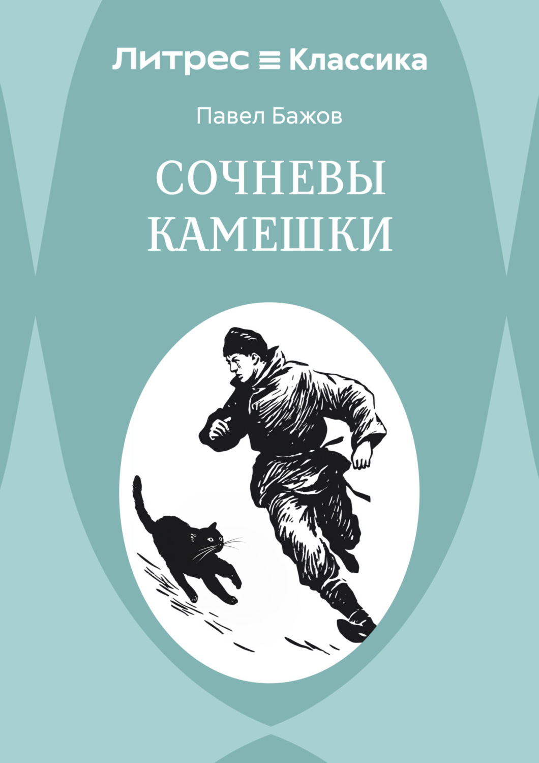 Обложка книги «Сочневы камешки»