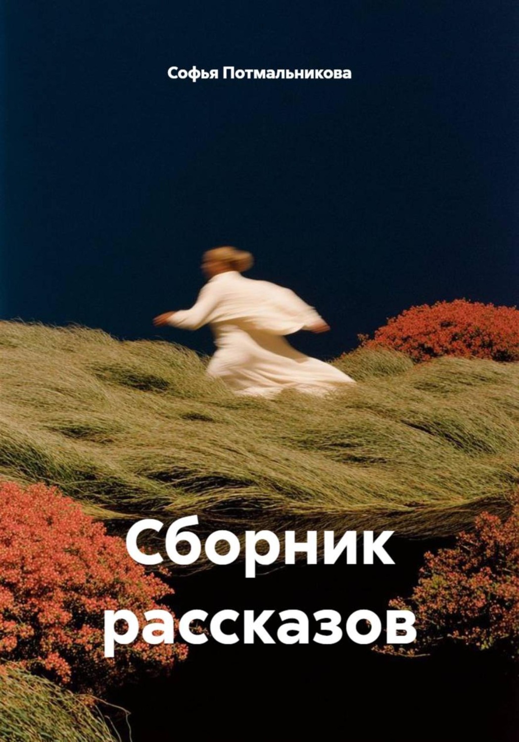 Обложка книги «Сборник рассказов»