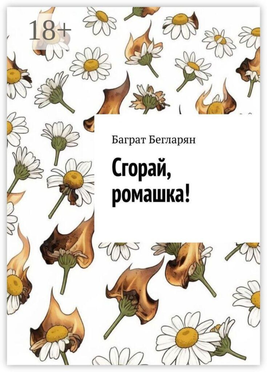 Обложка книги «Сгорай, ромашка!»