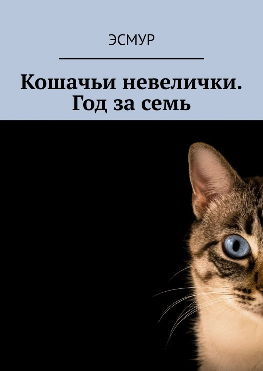 Обложка книги «Кошачьи невелички. Год за семь»