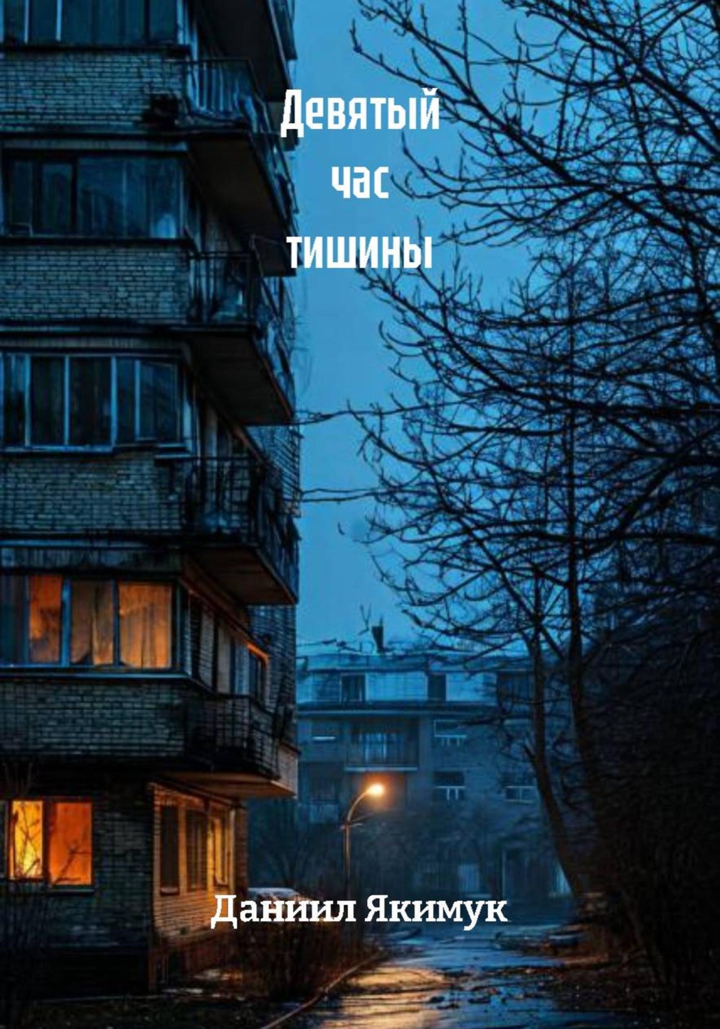 Обложка книги «Девятый час тишины»