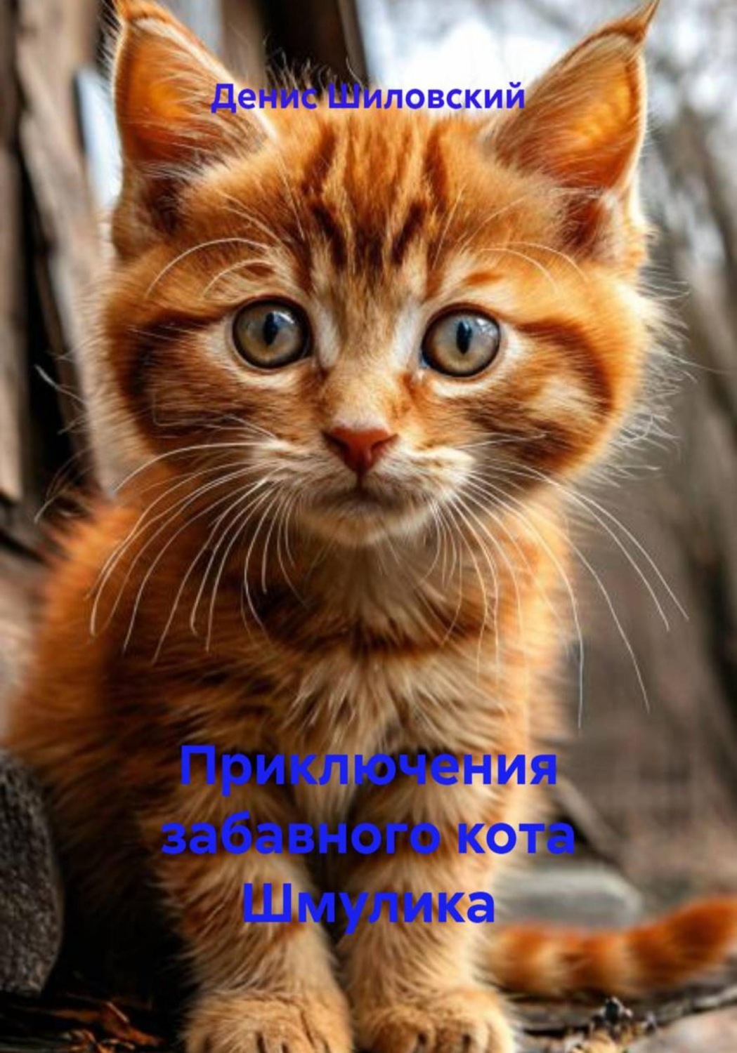Обложка книги «Приключения забавного кота Шмулика»