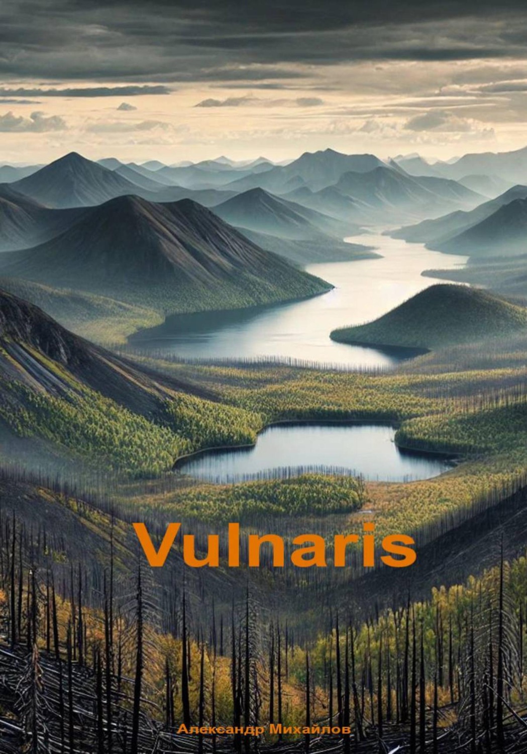 Обложка книги «Vulnaris»
