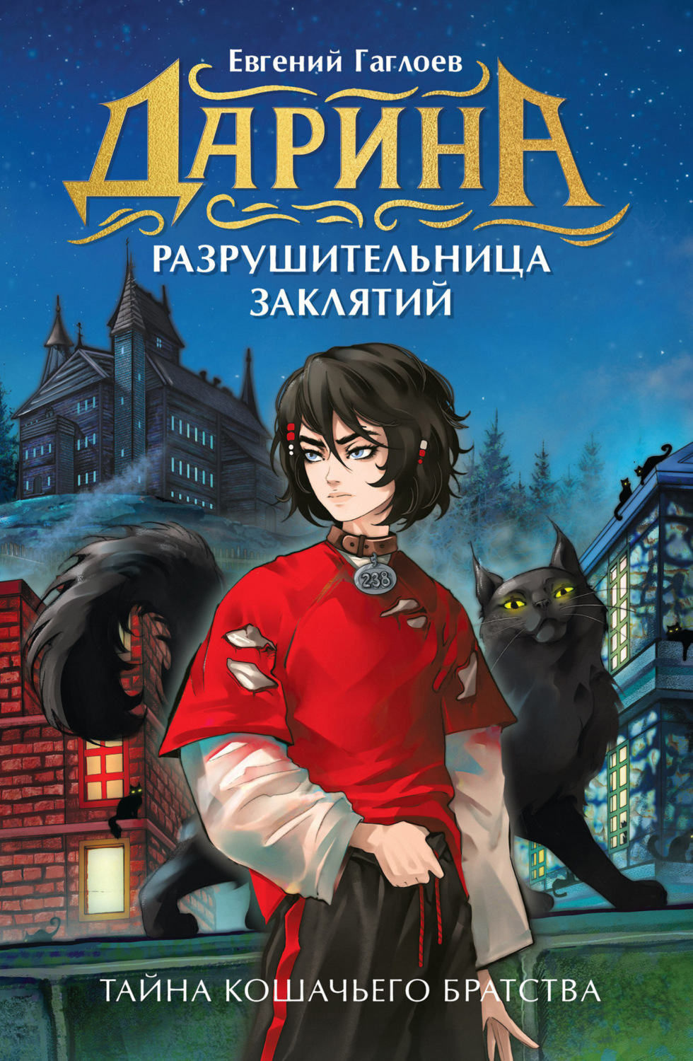 Обложка книги «Дарина – разрушительница заклятий. Тайна кошачьего братства»