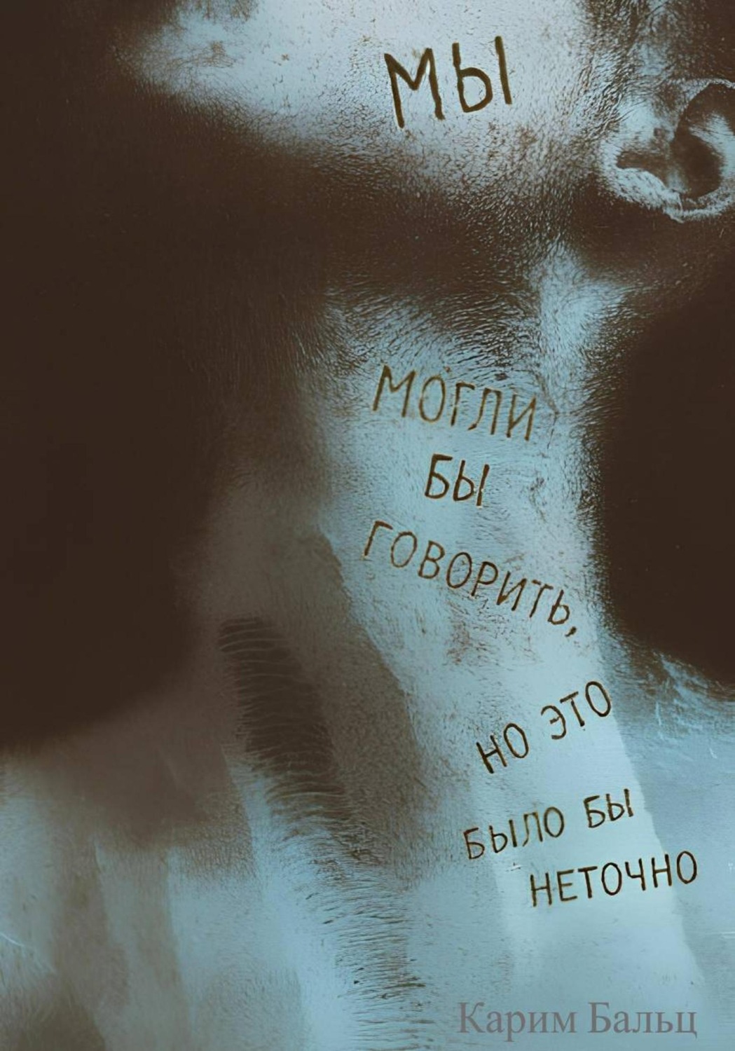 Обложка книги «Мы могли бы говорить, но это было бы неточно»