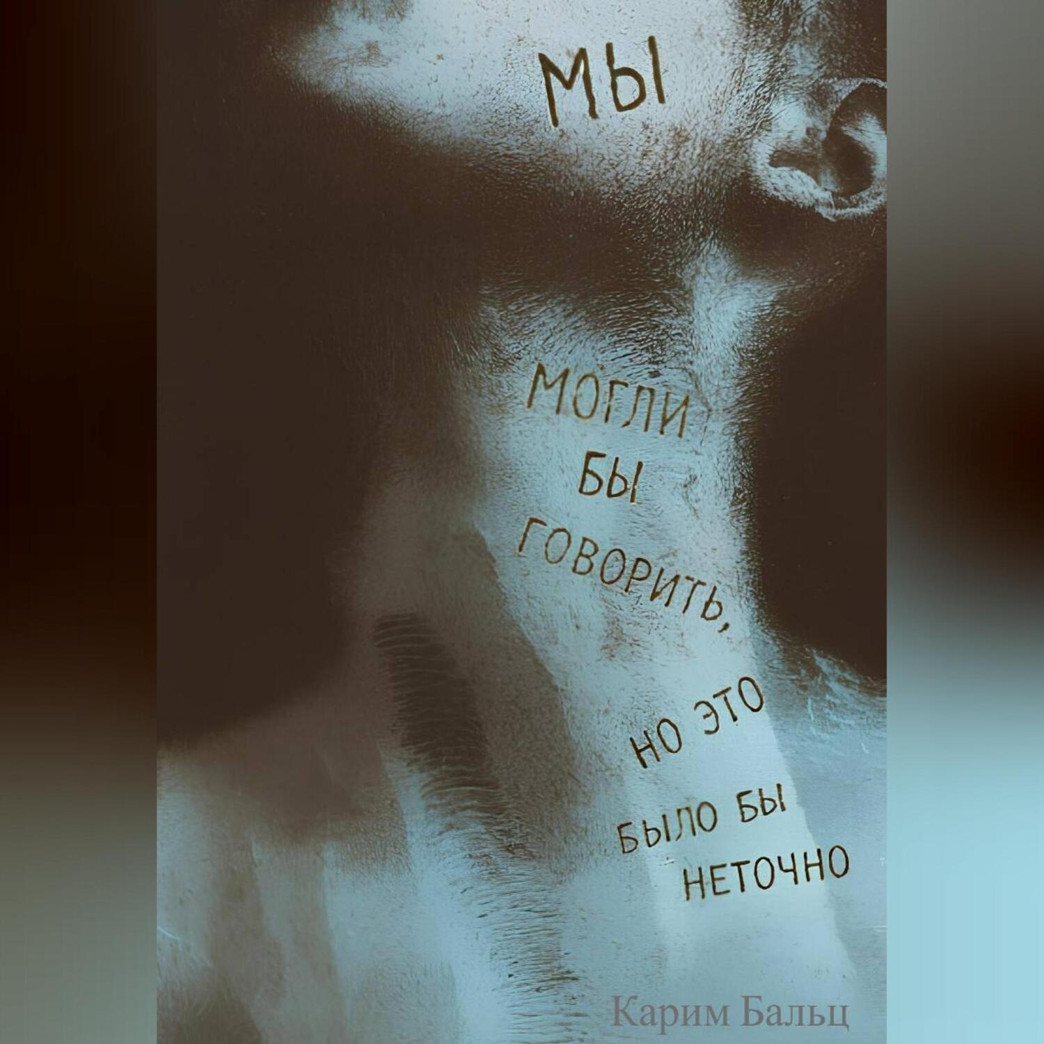Обложка книги «Мы могли бы говорить, но это было бы неточно»