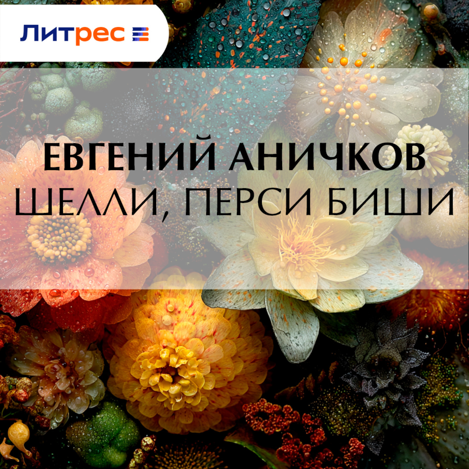 Обложка книги «Шелли, Перси Биши»