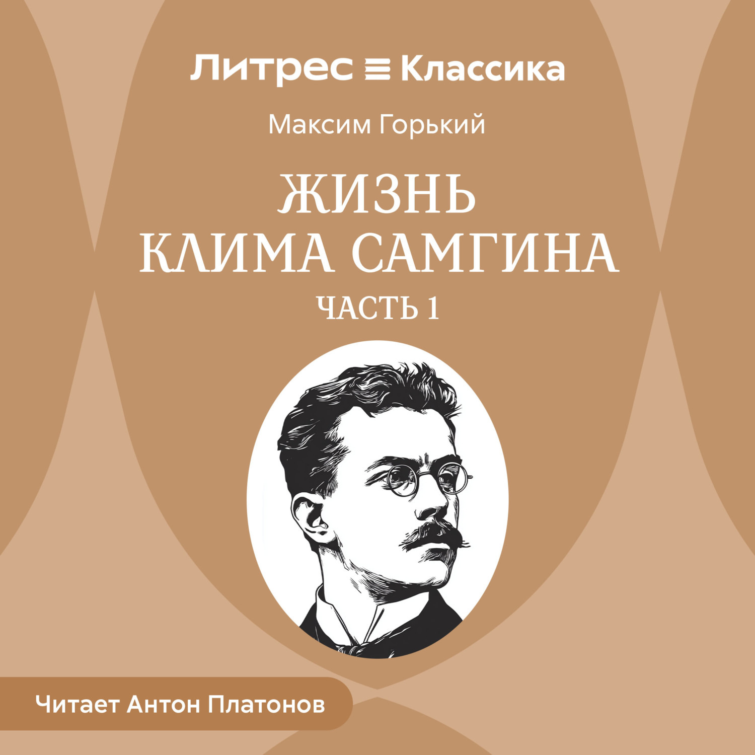 Обложка книги «Жизнь Клима Самгина. Часть 1»