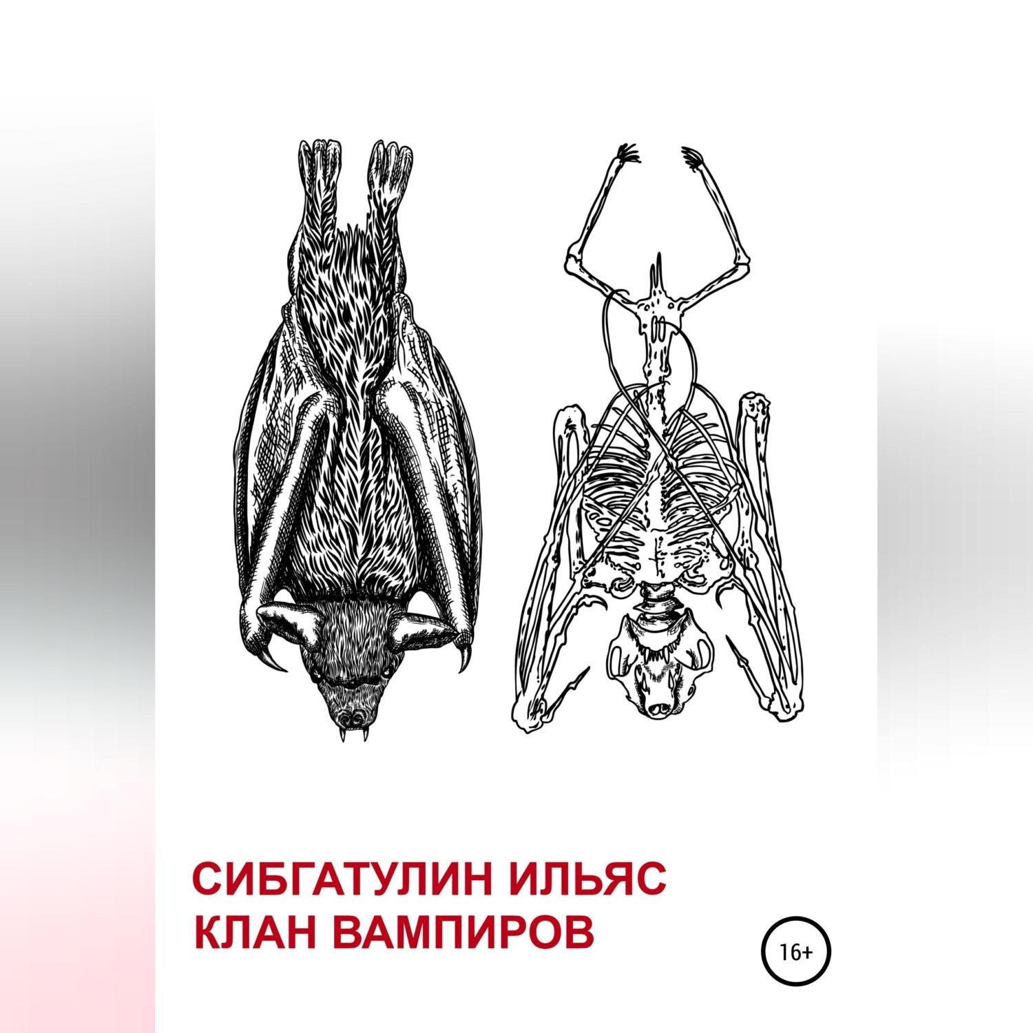 Обложка книги «Клан вампиров»