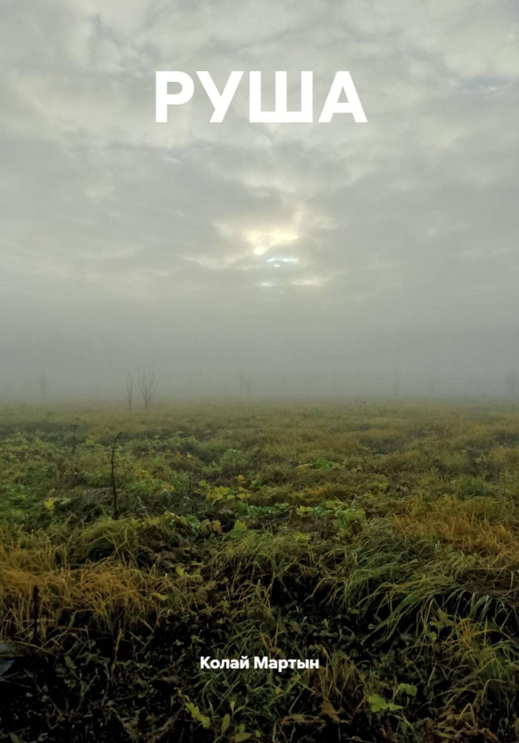 Обложка книги «РУША»
