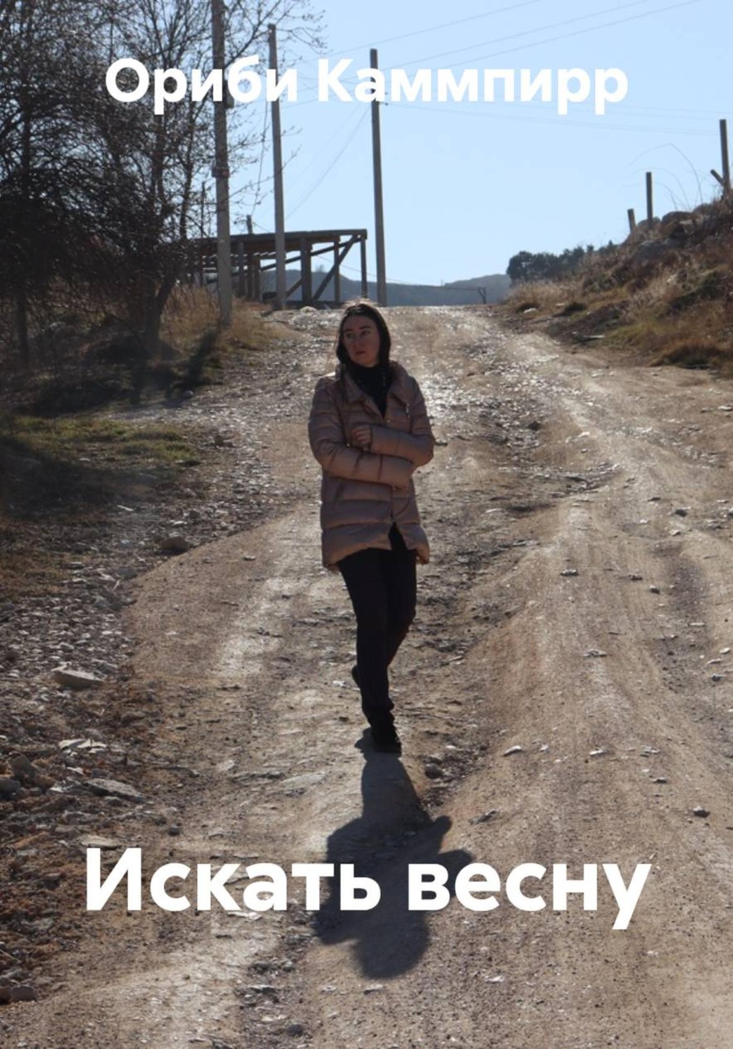 Обложка книги «Искать весну»